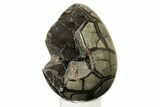 Bargain Polished Dragon Egg Geode - Black Crystals #257344-2